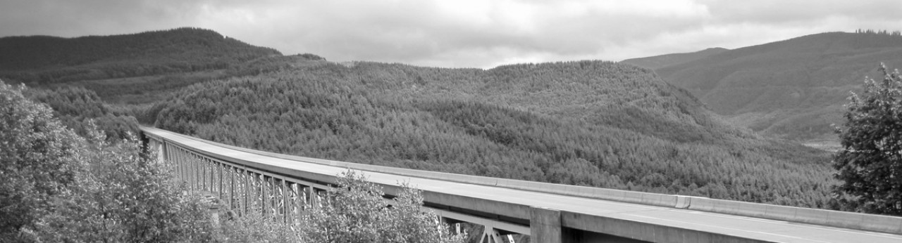 Leadership in Transportation