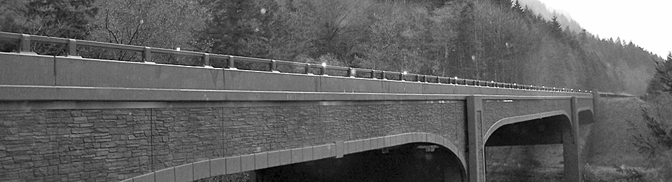 Leadership in Transportation